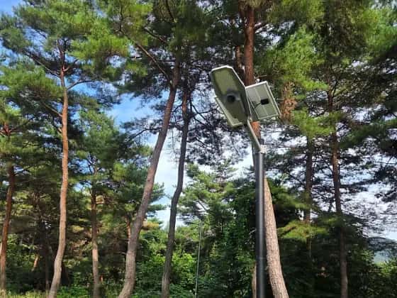 숲길에 세운 태양광 가로등